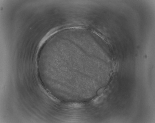 X0000084040198200703161840