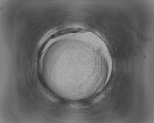 X0000084040199200703161840