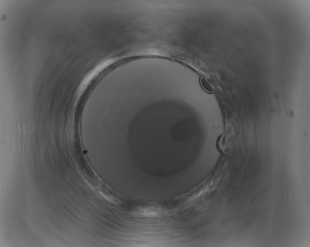 X0000084040200200703161840