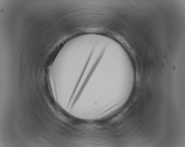 X0000084040201200703161840