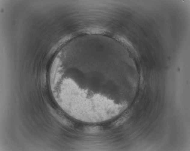 X0000084040202200703161840