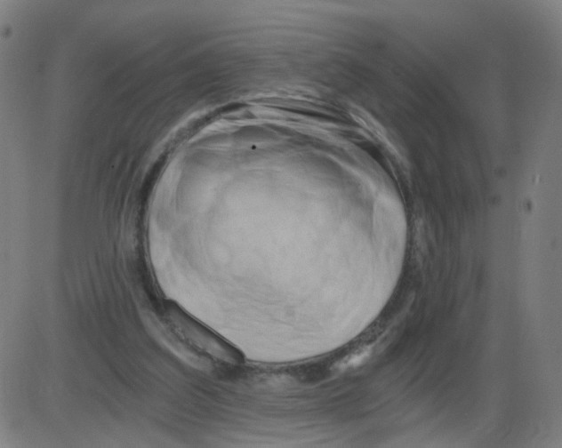 X0000084040203200703161840