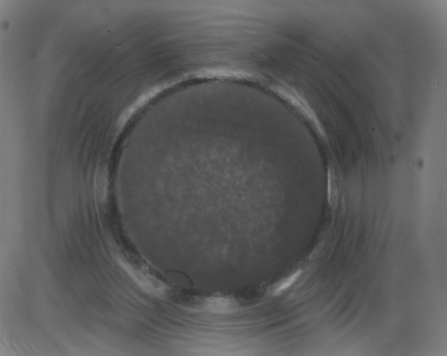 X0000084040204200703161840