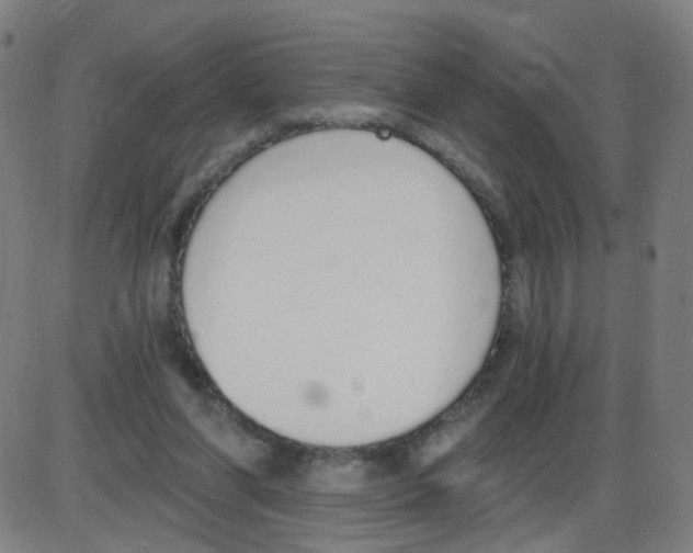 X0000084040206200703161840