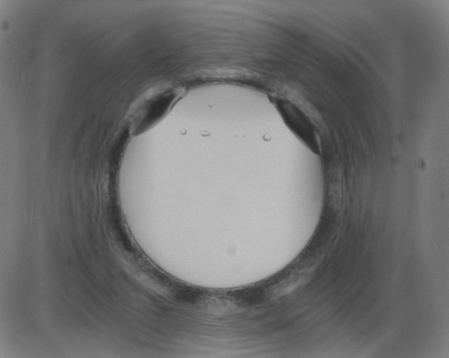 X0000084040207200703161840