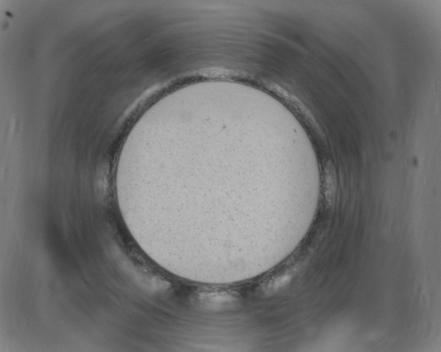 X0000084040208200703161840