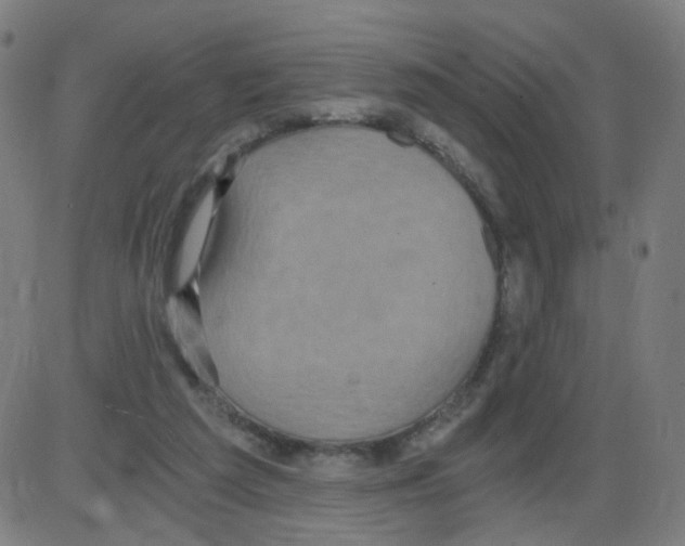 X0000084040209200703161840