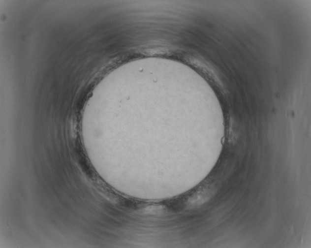 X0000084040210200703161840