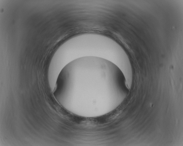 X0000084040211200703161840