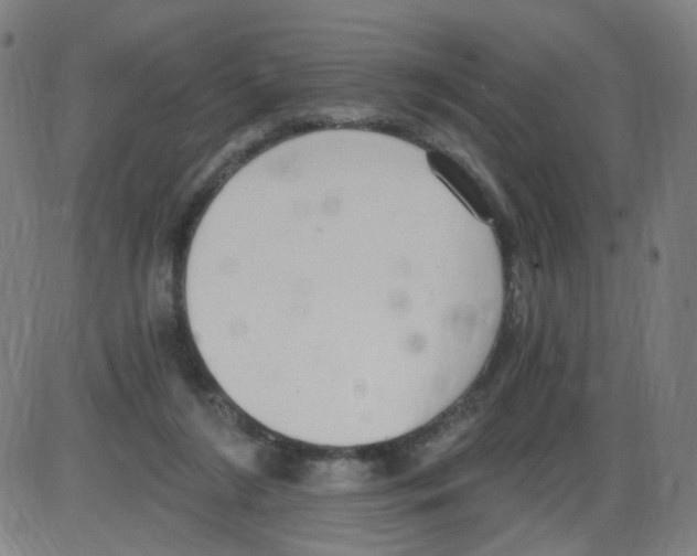 X0000084040212200703161840