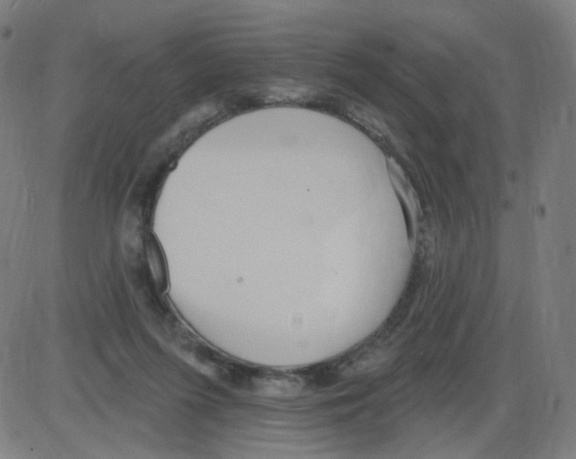 X0000084040215200703161839