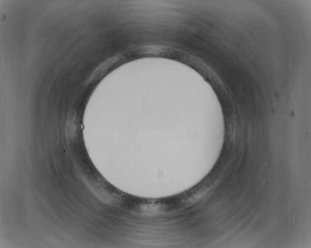 X0000084040216200703161839