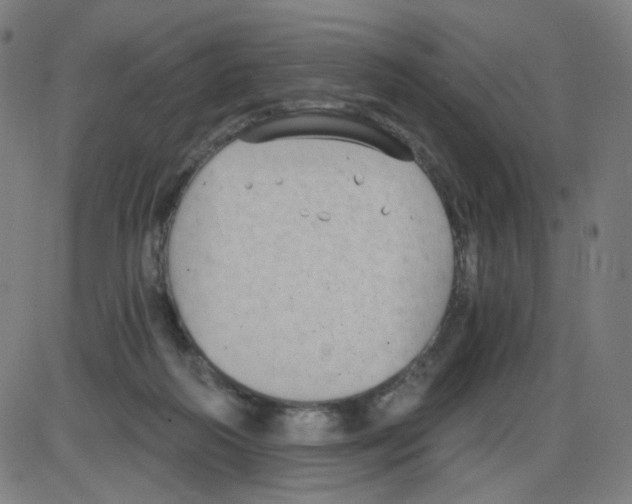 X0000084040218200703161839