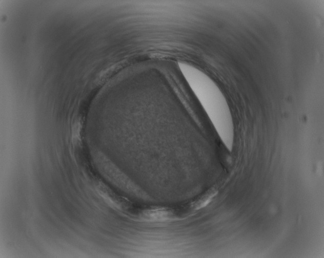 X0000084040219200703161839