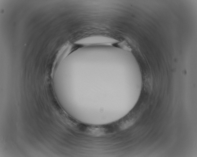 X0000084040221200703161839