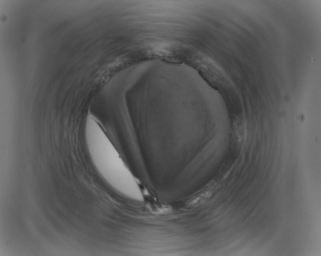 X0000084040223200703161839