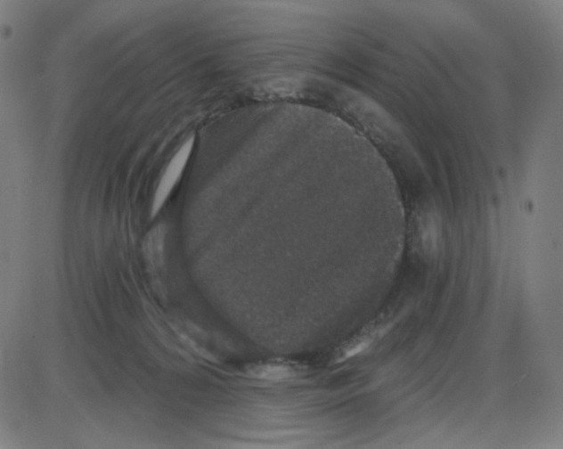 X0000084040224200703161839