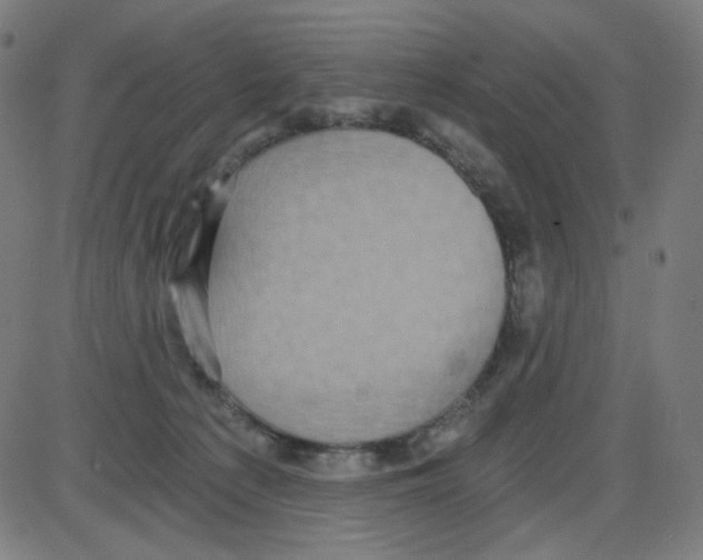 X0000084040225200703161839