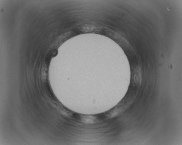 X0000084040226200703161839