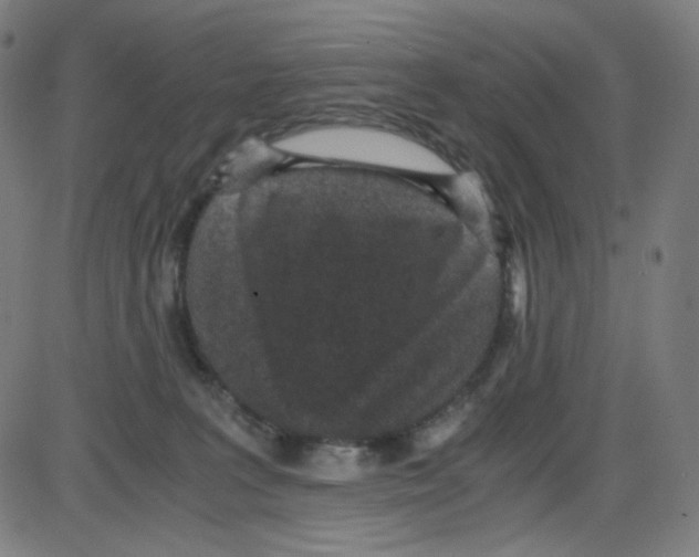 X0000084040227200703161839