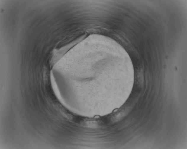 X0000084040228200703161839