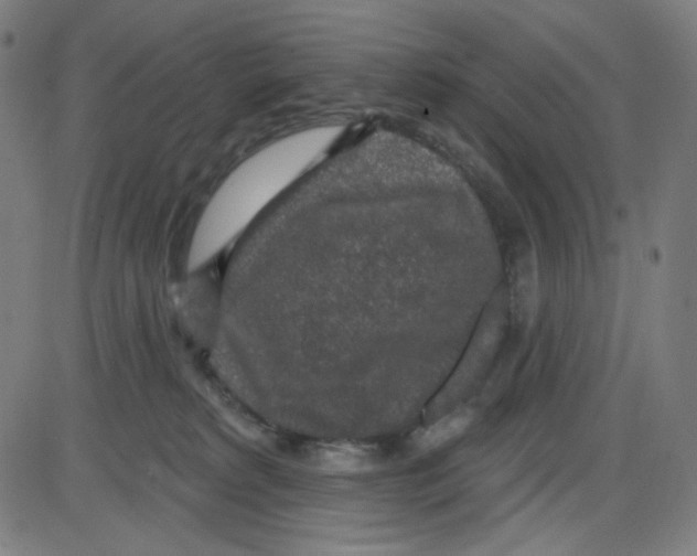 X0000084040229200703161839