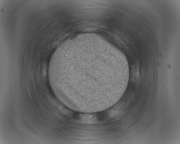 X0000084040230200703161839