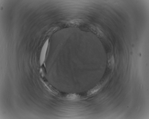 X0000084040231200703161839