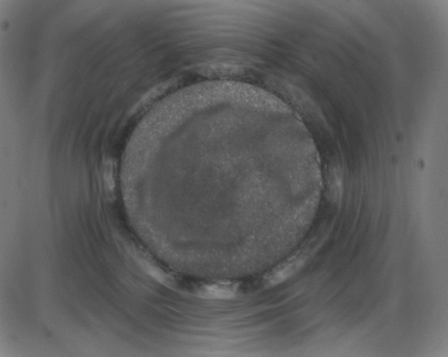 X0000084040232200703161839