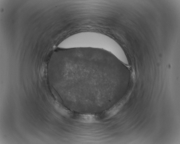 X0000084040233200703161839