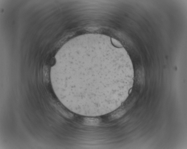 X0000084040234200703161839