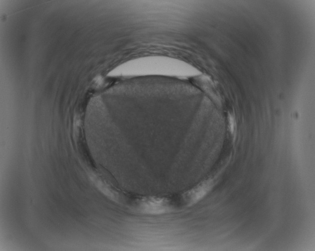 X0000084040235200703161839