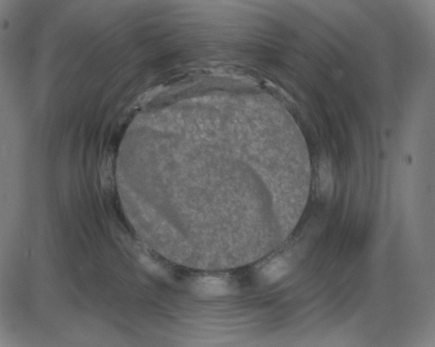 X0000084040236200703161839