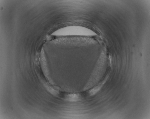 X0000084040237200703161839