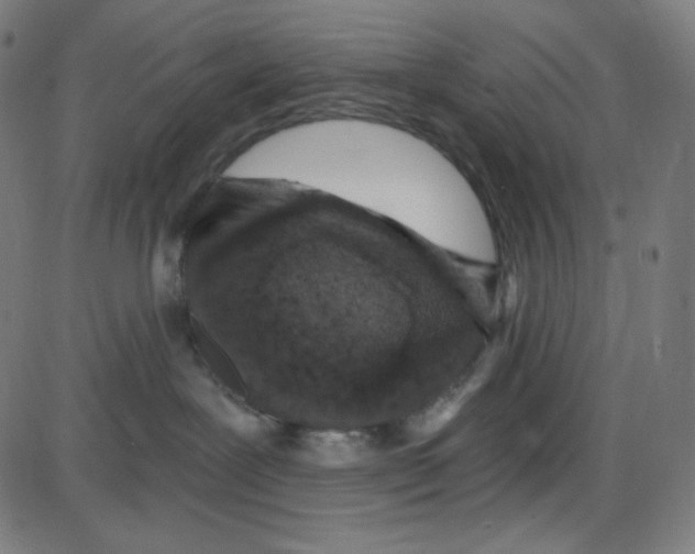 X0000084040239200703161839