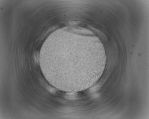 X0000084040240200703161839