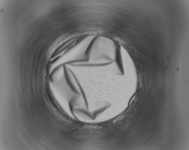 X0000084040242200703161838