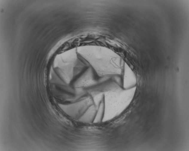 X0000084040244200703161838