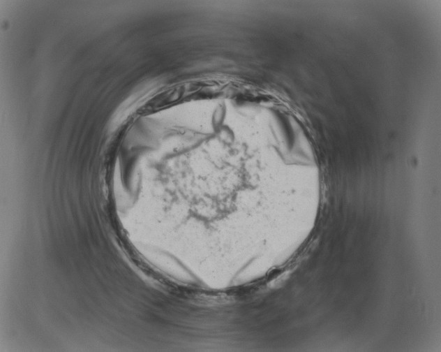 X0000084040245200703161838