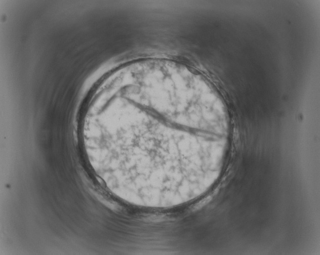 X0000084040246200703161838