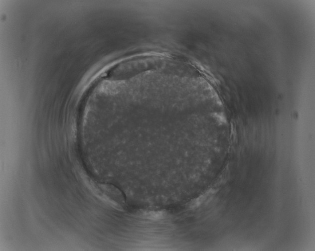 X0000084040247200703161838