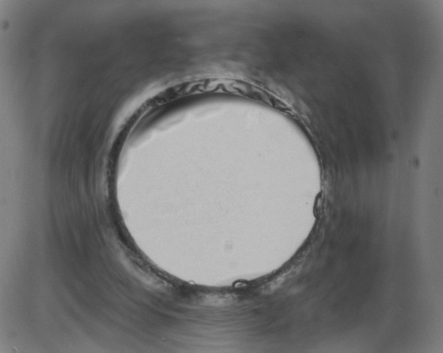 X0000084040248200703161838