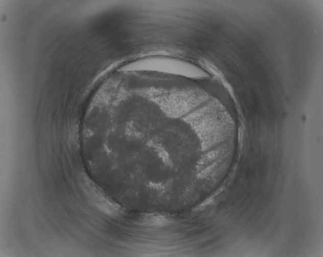 X0000084040249200703161838