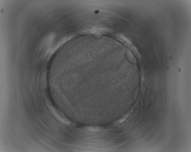 X0000084040250200703161838