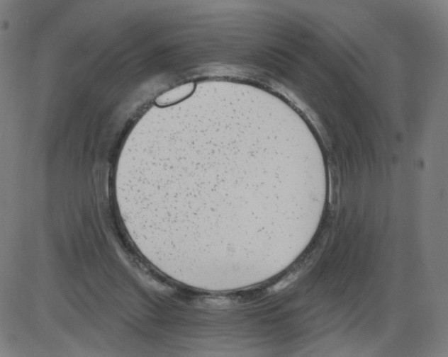 X0000084040253200703161838