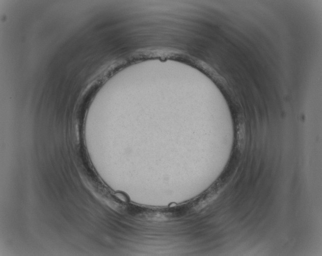 X0000084040254200703161838