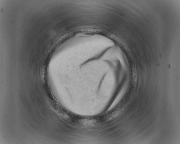 X0000084040255200703161838