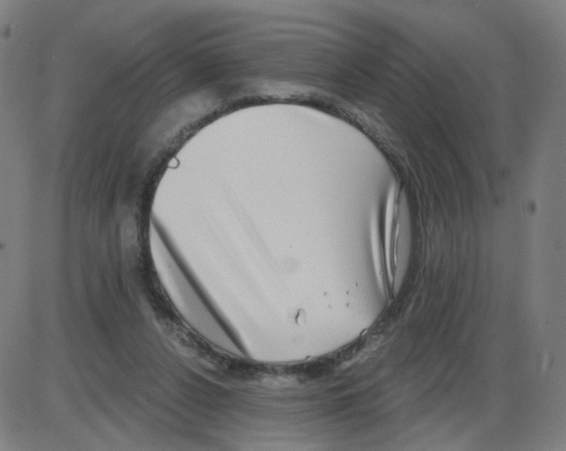 X0000084040256200703161838