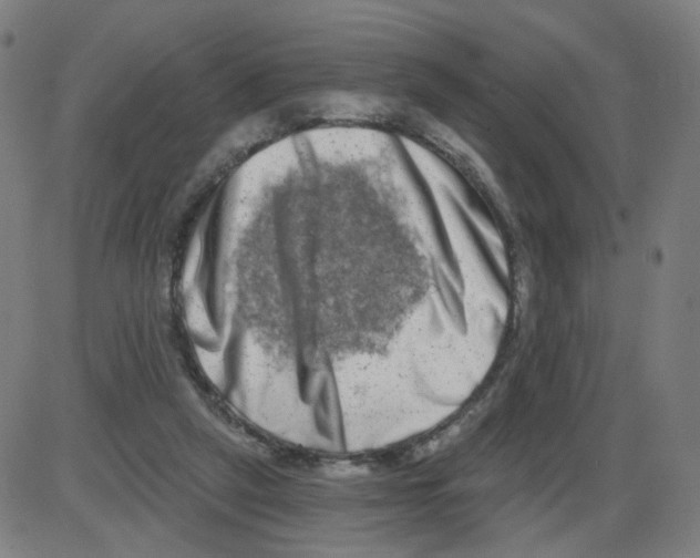 X0000084040257200703161839