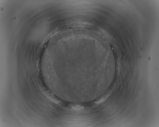 X0000084040258200703161839